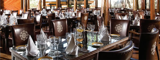 Lobo Wildlife Lodge Restaurant